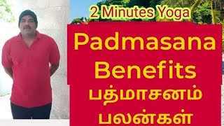 Padmasana Benefits  பத்மாசனம் பலன்கள்  2 Minutes Yoga padmasana பத்மாசனம் [upl. by Paulson733]