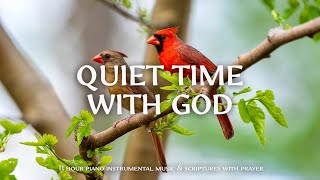 Quiet Time With God  Instrumental Worship and Scriptures with Birds 🕊 Christian Instrumental [upl. by Calypso]