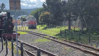 小樽市総合博物館、いつもと違う流れ。車庫入れ前。 [upl. by Tiler]