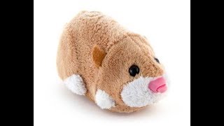 Zhu Zhu Pets Review On Mr Squiggles [upl. by Ecirtam]