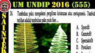 UM UNDIP 2016 saintek 555  biologi pembahasan no 26 metagenesis paku [upl. by Theona]