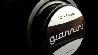 Review  Amp Giannini G65  Alex Machado [upl. by Yblok]