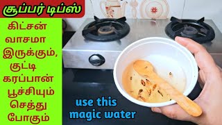 குட்டி கரப்பான் பூச்சிகரப்பான்பூச்சி தொல்லையா Cockroaches kills tipsampTricks in Tamilinsects Kills [upl. by Ellery511]