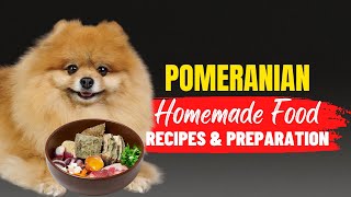 Homemade Food For Pomeranians  Recipes And Preparation Method  Dogs Genesis  DogsGenesis [upl. by Aihceyt891]