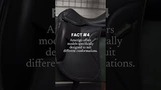 5 MustKnow Facts About Amerigo Saddles 🐴✨ [upl. by Batsheva22]