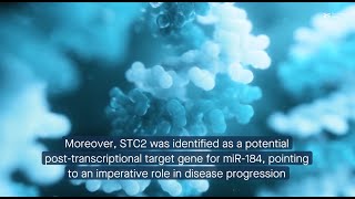 Parsing the role of exosomal miR184 in central serous chorioretinopathy [upl. by Ailongam]