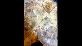 Congoleum Duraceramic Flooring Review [upl. by Eiramalegna923]