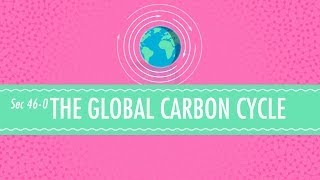 The Global Carbon Cycle Crash Course Chemistry 46 [upl. by Netsrejk]