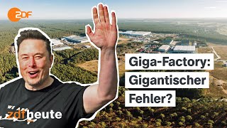 Was wird aus der TeslaFabrik in Brandenburg Reportage über Elon Musks GigaFactory [upl. by Nangem837]