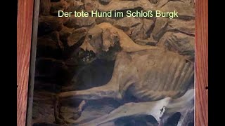 Warum wurde der Hund lebendig eingemauert Herbstrunde 5 Saaleturm und Schloß Burgk in Burgk [upl. by Bobine]