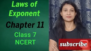 Exponent and powers  Introduction Class 7  NCERT [upl. by Jud499]