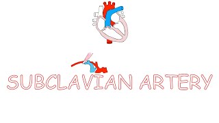 Subclavian artery [upl. by Plunkett]