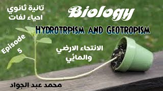 Episode 5 I Geotropism and Hydrotropism I [upl. by Nayd]