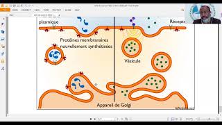 Cours sur les échanges cellulaires et les notions dendocytose et exocytose [upl. by Ahsoet]