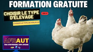 Quel Type de Volaille Choisir pour LÉlevage  Guide Complet video 8 [upl. by Bock]