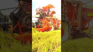 Mahindra novo 755 di 4wd Combine Harvester shorts viralvideo youtubeshorts harvester mahindara [upl. by Atokad]