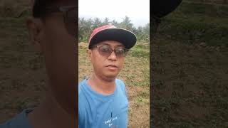 gery sablon lagi lihat sawah dl tukangsablon belajarjdsultan shortsfeed [upl. by Alik971]