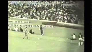 COMPLETO  Botafogo 3x1 Flamengo  1981  Pt9 Fim [upl. by Enuahs]