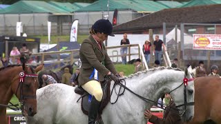 Ailhyfforddi Ceffylau Rasio  Retraining of Racehorses [upl. by Louise]