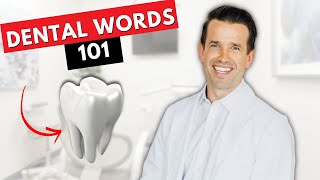 Dental Terminology Basics for Dental Assistants [upl. by O'Mahony]