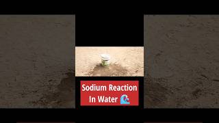 Sodium Reaction with Water Sodium Reaction  Sodium  Reaction [upl. by Belvia113]