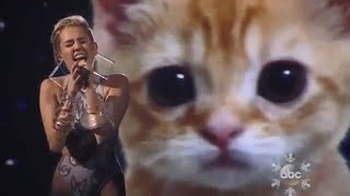 stan twitter Miley Cyrus performing with a giant cat [upl. by Hajidak]