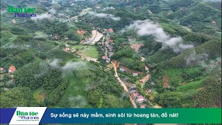 Sự sống sẽ nảy mầm sinh sôi từ hoang toàn đổ nát [upl. by Tacye817]