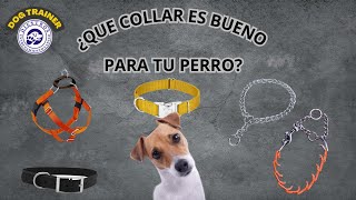 Que collar es bueno para tu perro [upl. by Pirali]