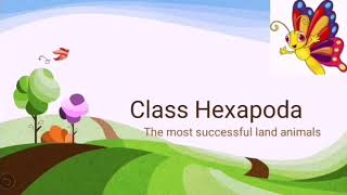 Class Hexapoda  Insects  Structure  Locomotion [upl. by Mirabelle]