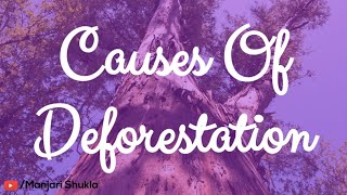 Causes of Deforestation by Manjari  What are the Five Main Causes of Deforestation  deforestation [upl. by Foy786]