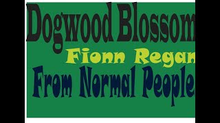 Dogwood Blossom  Fionn Regan  Lyrical [upl. by Retlaw]