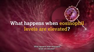 What are eosinophils [upl. by Yllehs]