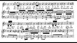 Ridente la calma WA Mozart Score Animation [upl. by Luahs]