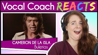 Vocal Coach reacts to Camaron de la Isla amp Paco de Lucia  Bulerias Live [upl. by Nuhsed391]