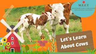 Lets Learn About Cows preschool learning videos for kids  cow video for kids  cow sounds [upl. by Htiaf]