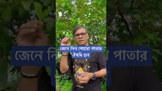 পেয়ারা পাতার ঔষধি গুন জানলে বিস্মিত হবেন [upl. by Repsihw535]