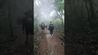 🦁🌳 khasi trip short video  khasi travel india junglesafari wildlife nature explorepage [upl. by Anitsahs]