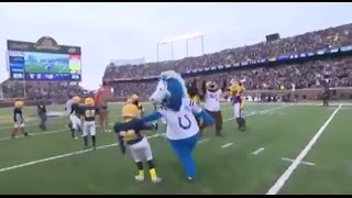 Colts Mascot Caught on Camera Beating on Little Children [upl. by Malkin]