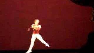 Leonid Sarafanov PAQUITA Vienna State Opera Ballet [upl. by Pals]