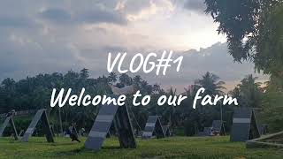 EFG Gamefarm VLOG1 Welcome to our farm [upl. by Gorlicki]