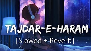 TajdarEHaram SlowedReverb Atif Aslam Coke studio  Textaudio  Lofi [upl. by Enella]