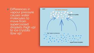 Bergeron Proces of Rainfall Formation [upl. by Chelton]