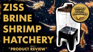 ZISS BRINE SHRIMP HATCHERY PRODUCT REVIEW 5 STAR PRODUCT [upl. by Lenahtan359]