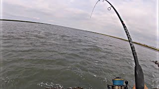 Last Day of the Flounder Season  NJ Flukin September 2020 [upl. by Anitsyrk]