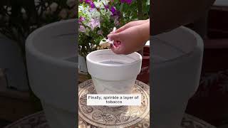 Make your own nutritious plant pots gardeninggoals gardeningistherapy gardeningtips [upl. by Alfredo]