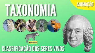 TAXONOMIA  CLASSIFICAÇÃO DOS SERES VIVOS  Animação [upl. by Ahseiym579]