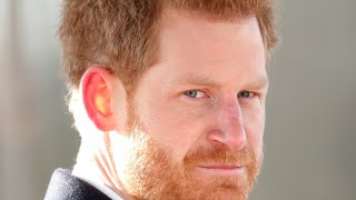 Prince Harry has done ‘enormous damage’ to the Royal Family [upl. by Loseff]