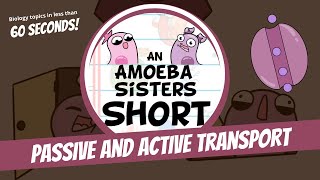 Passive and Active Transport  Amoeba Sisters Shorts [upl. by Raddatz6]