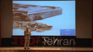 Virtual Water Dr Reza Maknoon at TEDxTehran [upl. by Joelly443]