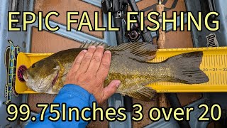 EPIC FALL FISHING 99 75 inches of River Smallmouth 3 over 20 [upl. by Leira]